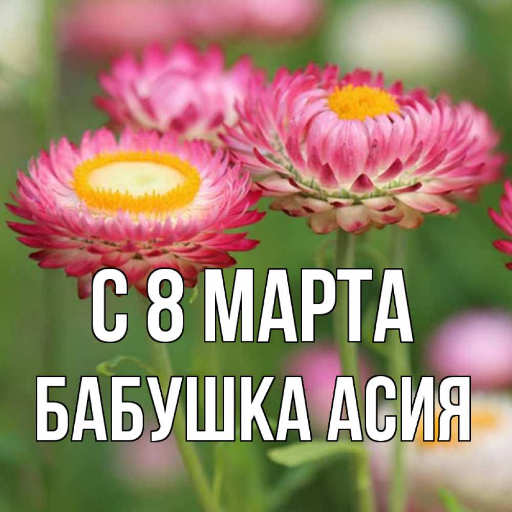 Открытка на каждый день с именем, Бабушка-Асия С 8 МАРТА подарок на международный женский день Прикольная открытка с пожеланием онлайн скачать бесплатно 