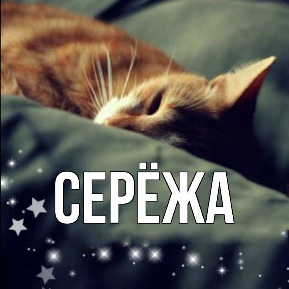 Открытка на каждый день с именем, Серёжа Главная кроватка Прикольная открытка с пожеланием онлайн скачать бесплатно 