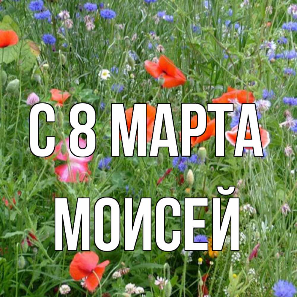 Картинка С 8 марта, Моисей