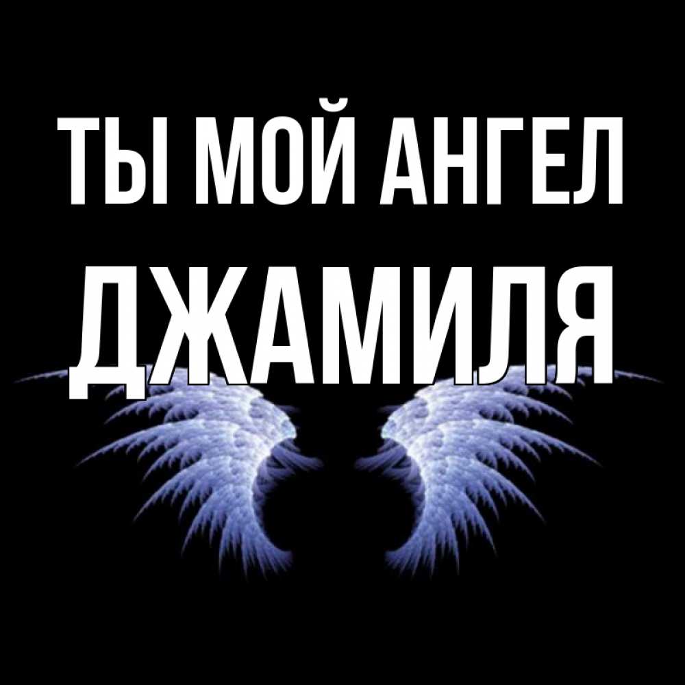 Картинка с именем джамиля