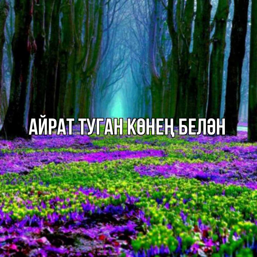 Открытка на каждый день с именем, Айрат-туган-көнең-белән Главная фиолетовые цветы в лесу 1 Прикольная открытка с пожеланием онлайн скачать бесплатно 