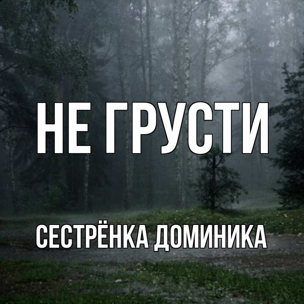 Открытка на каждый день с именем, Сестрёнка-Доминика Не грусти осень Прикольная открытка с пожеланием онлайн скачать бесплатно 