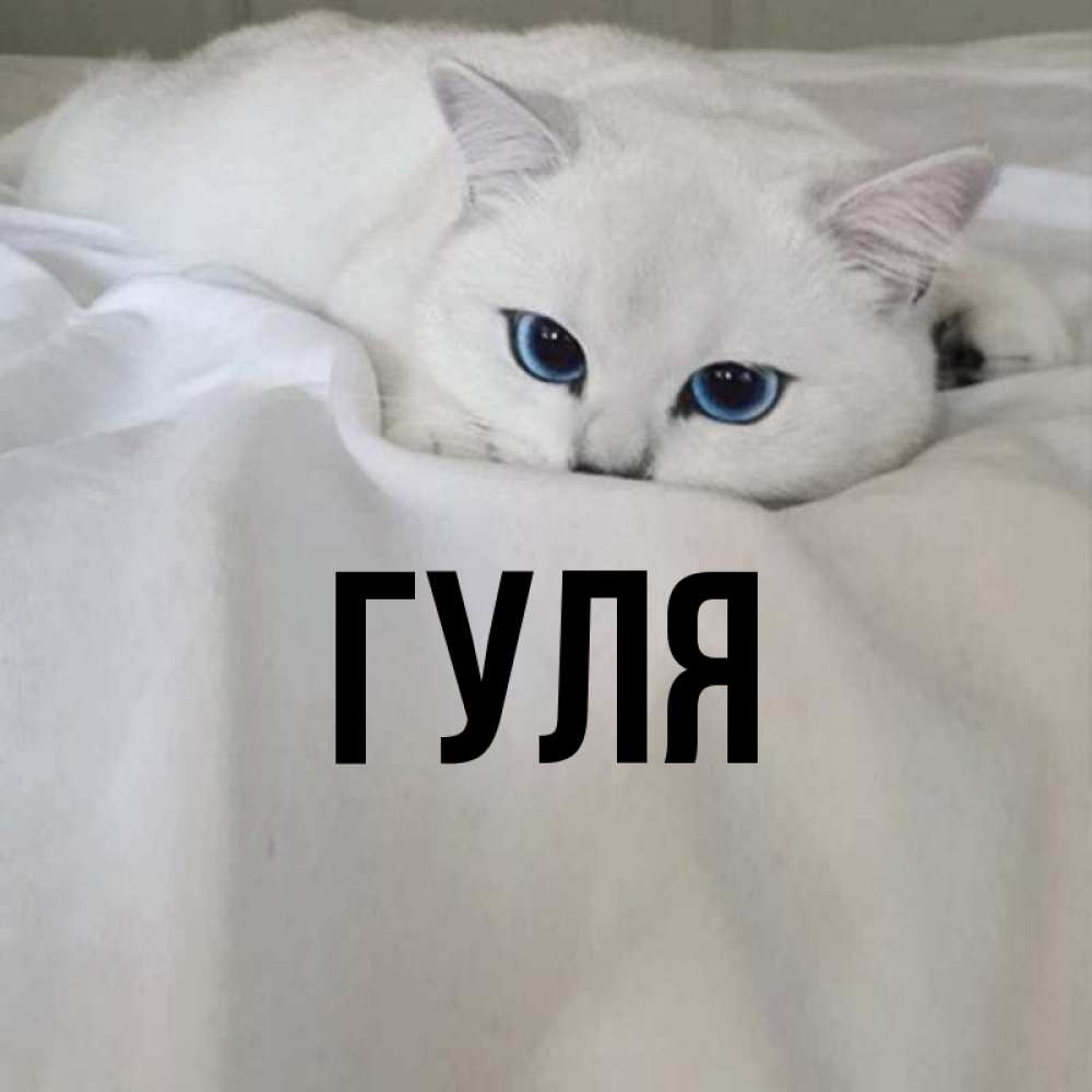Картинки с именем гуля приколы, летием свадьбы красивые