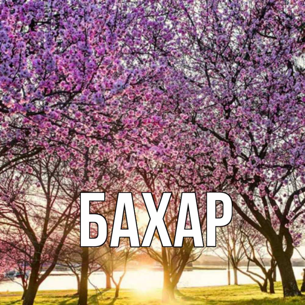 Открытка на каждый день с именем, Бахар Главная международный женский день Прикольная открытка с пожеланием онлайн скачать бесплатно 