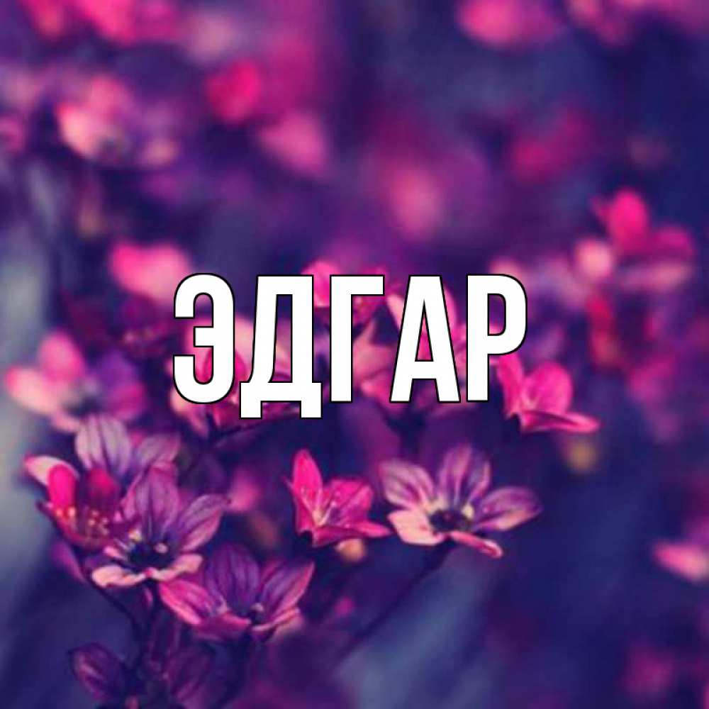 Открытка на каждый день с именем, Эдгар Главная небольшие цветы 1 Прикольная открытка с пожеланием онлайн скачать бесплатно 