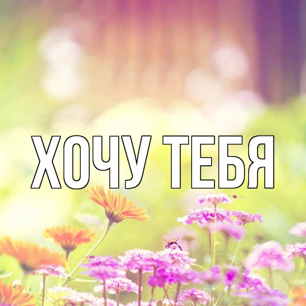 Открытка на каждый день с именем, Хочу-тебя Главная цветы весна Прикольная открытка с пожеланием онлайн скачать бесплатно 