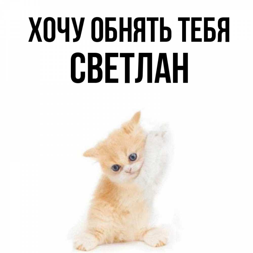 Хочу светлану