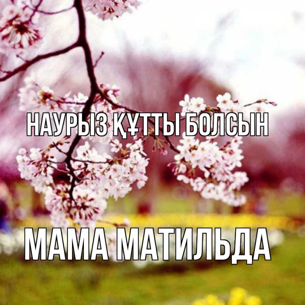 Открытка на каждый день с именем, Мама-Матильда Наурыз құтты болсын яблоня Прикольная открытка с пожеланием онлайн скачать бесплатно 