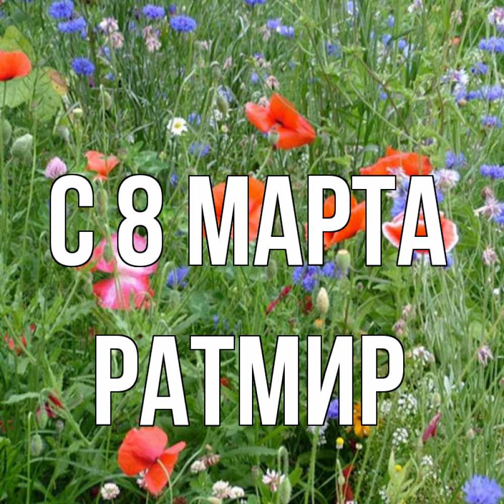 Открытка на каждый день с именем, Ратмир С 8 марта международный женский день 4 Прикольная открытка с пожеланием онлайн скачать бесплатно 