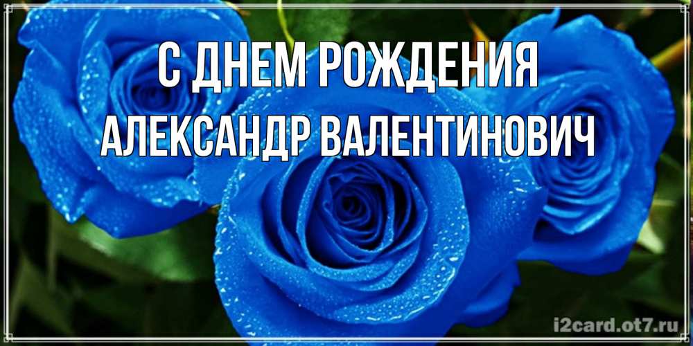 Открытка на каждый день с именем, Александр-Валентинович С днем рождения розы с синим цветом Прикольная открытка с пожеланием онлайн скачать бесплатно 