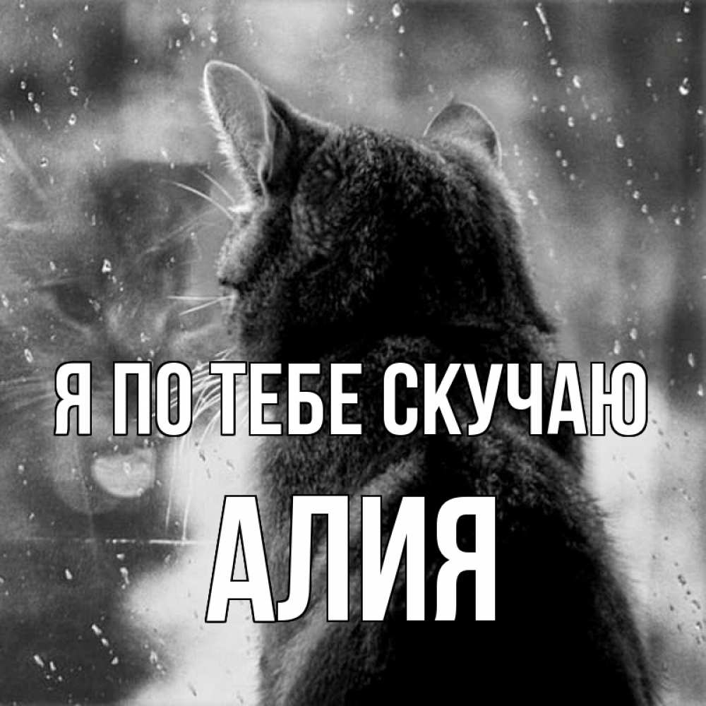 Открытка на каждый день с именем, Алия Я по тебе скучаю скорее ко мне приходи 1 Прикольная открытка с пожеланием онлайн скачать бесплатно 