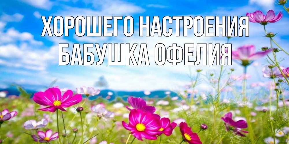Открытка на каждый день с именем, Бабушка-Офелия Хорошего настроения поле цветов Прикольная открытка с пожеланием онлайн скачать бесплатно 