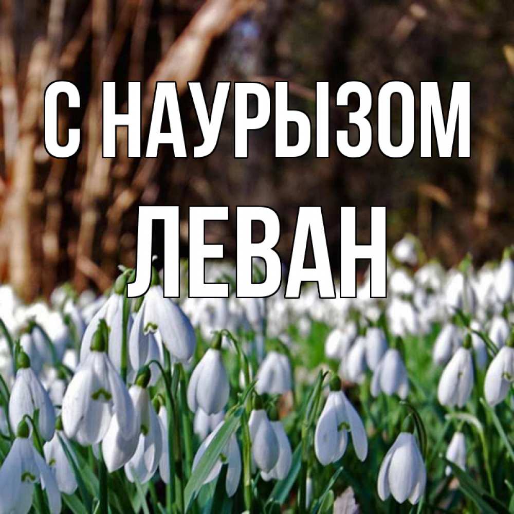 Открытка на каждый день с именем, Леван С наурызом с подснежниками 1 Прикольная открытка с пожеланием онлайн скачать бесплатно 