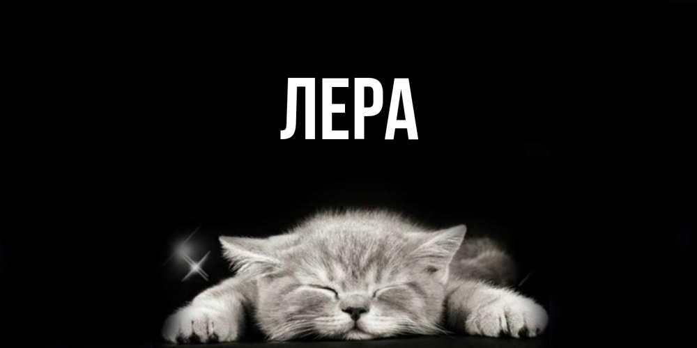Открытка на каждый день с именем, Лера Главная спящий котик Прикольная открытка с пожеланием онлайн скачать бесплатно 
