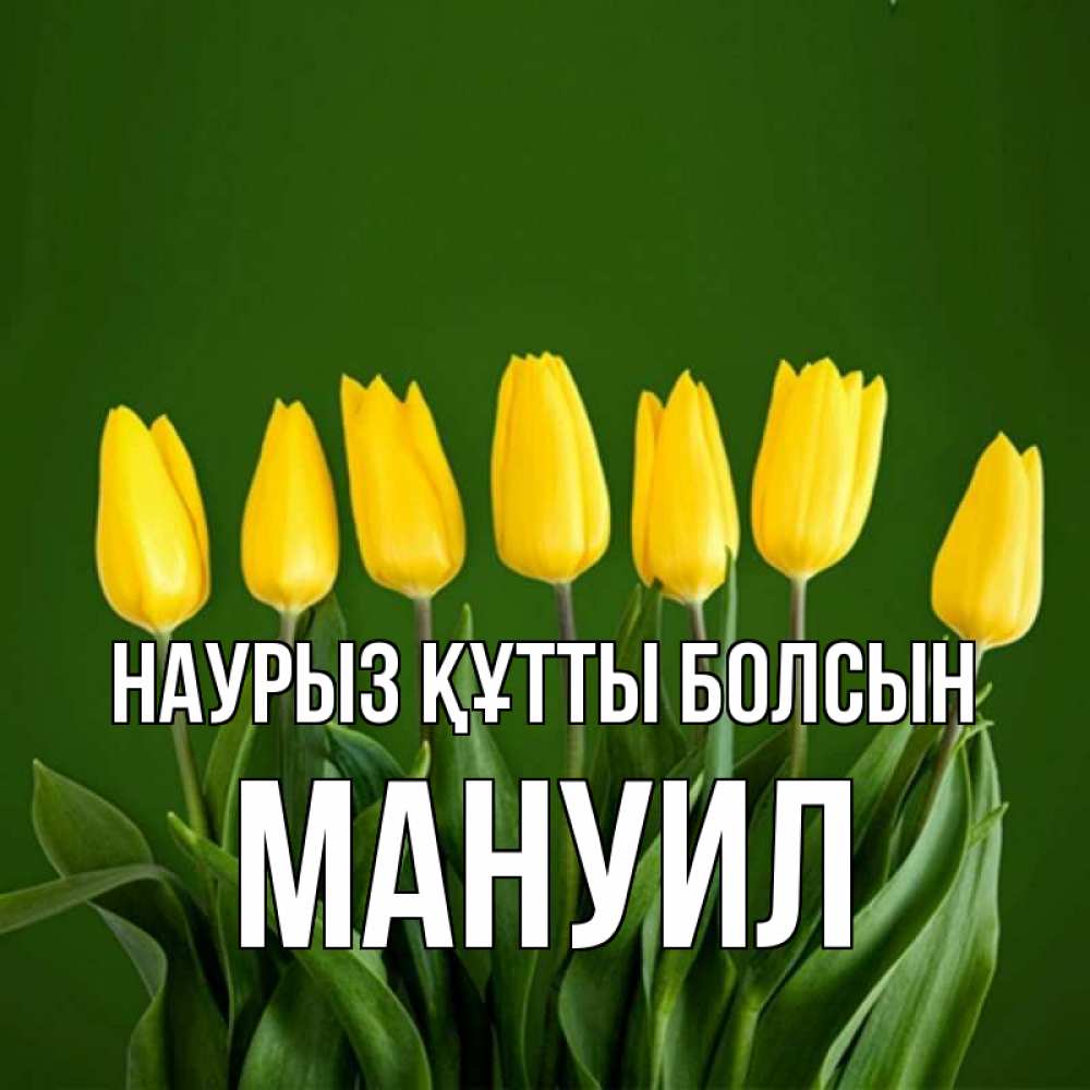 Открытка на каждый день с именем, Мануил Наурыз құтты болсын желтого цвета 3 Прикольная открытка с пожеланием онлайн скачать бесплатно 
