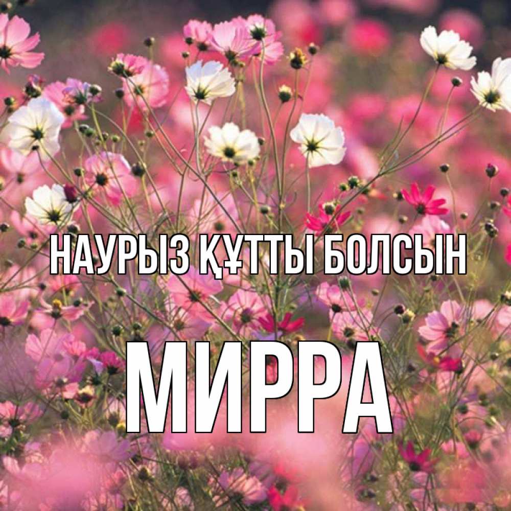 Открытка на каждый день с именем, Мирра Наурыз құтты болсын красиво 1 Прикольная открытка с пожеланием онлайн скачать бесплатно 
