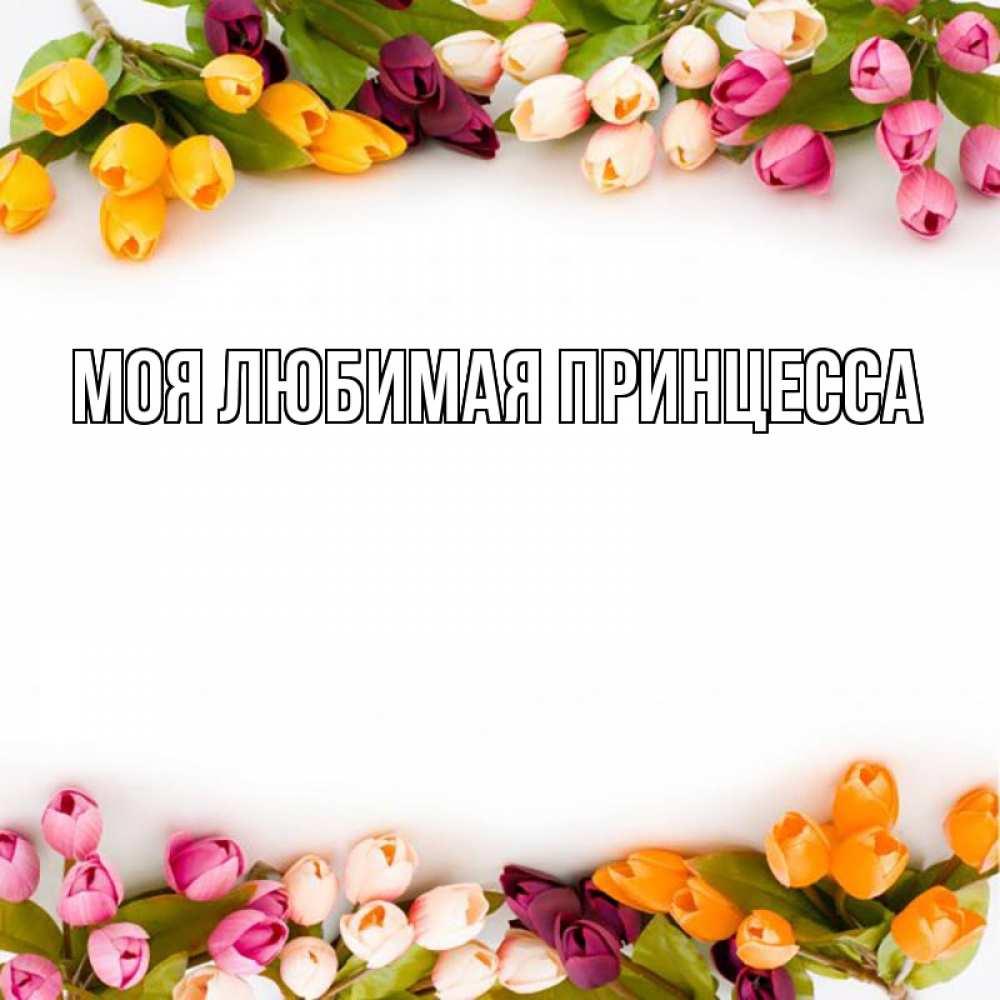 Открытка на каждый день с именем, Моя-Любимая-Принцесса Главная весна март Прикольная открытка с пожеланием онлайн скачать бесплатно 