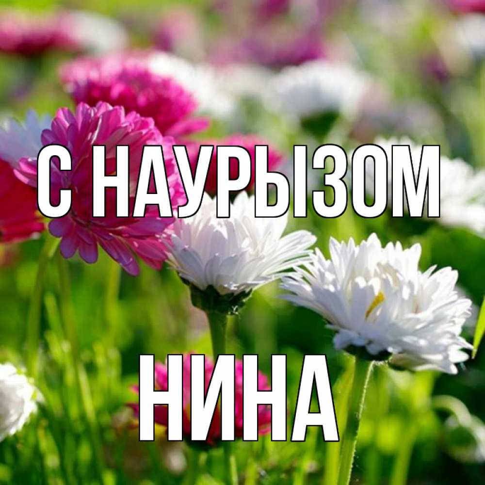 Открытка на каждый день с именем, Нина С наурызом праздник весны наурыз красота Прикольная открытка с пожеланием онлайн скачать бесплатно 