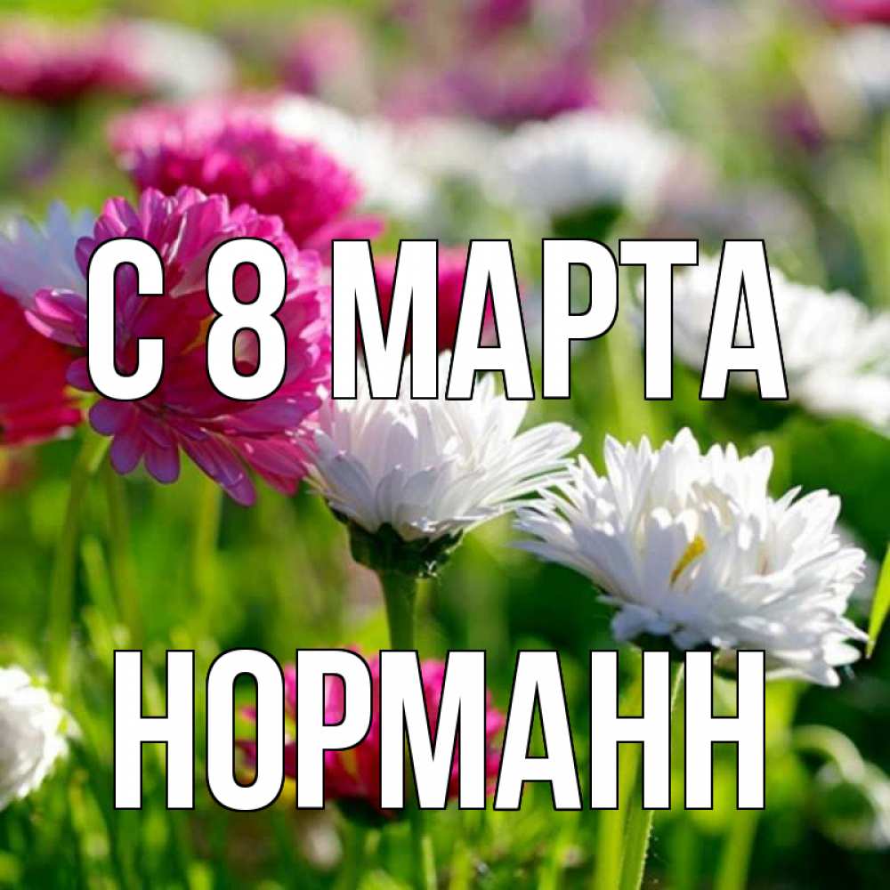 Открытка на каждый день с именем, Норманн С 8 МАРТА международный женский день 1 Прикольная открытка с пожеланием онлайн скачать бесплатно 