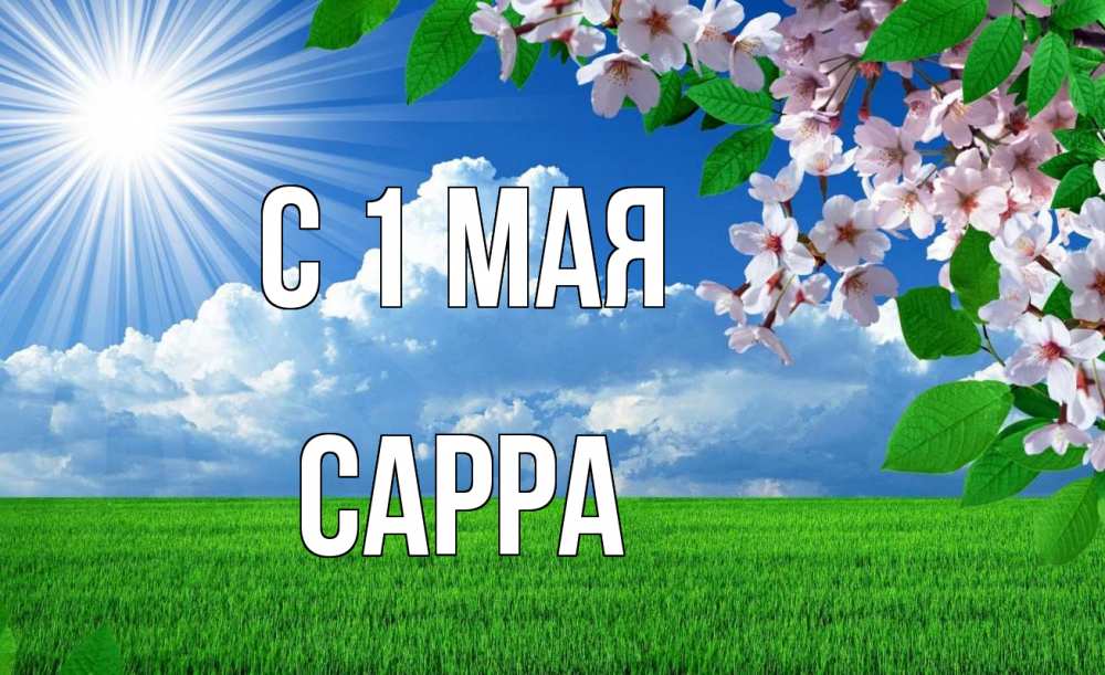 Открытка на каждый день с именем, Сарра С 1 мая С 1 мая Прикольная открытка с пожеланием онлайн скачать бесплатно 
