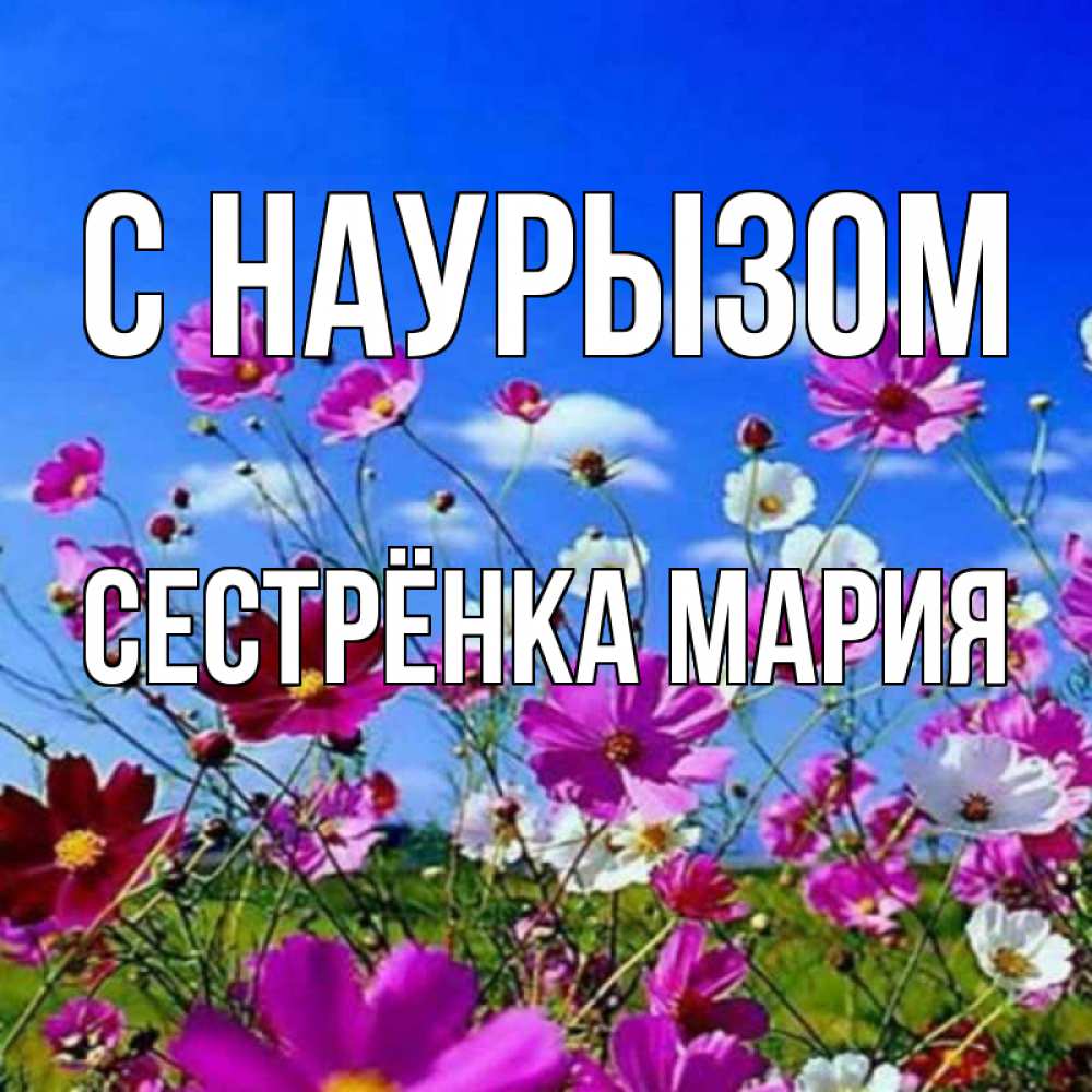 Открытка на каждый день с именем, Сестрёнка-Мария С наурызом цветы Прикольная открытка с пожеланием онлайн скачать бесплатно 