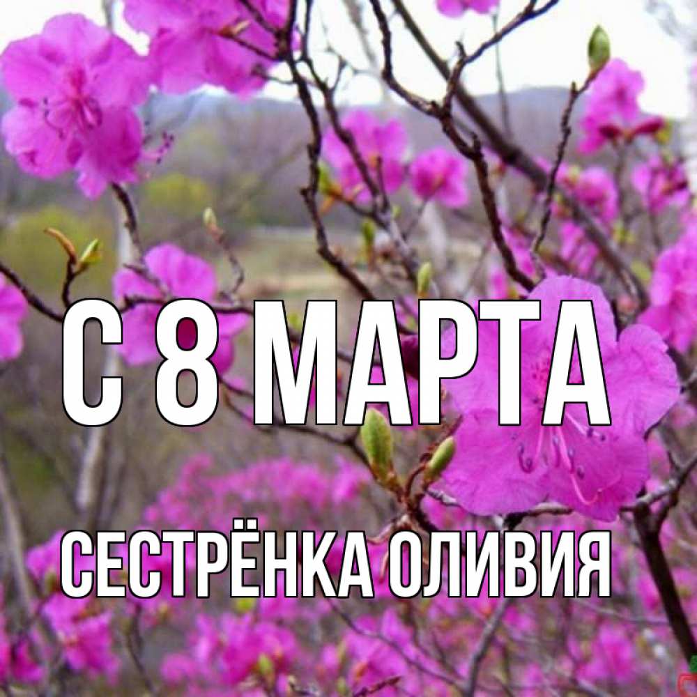 Открытка на каждый день с именем, Сестрёнка-Оливия С 8 марта международный женский день Прикольная открытка с пожеланием онлайн скачать бесплатно 