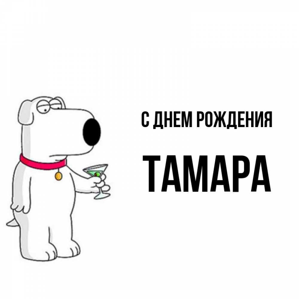 Открытка на каждый день с именем, Тамара С днем рождения песик с оливками Прикольная открытка с пожеланием онлайн скачать бесплатно 