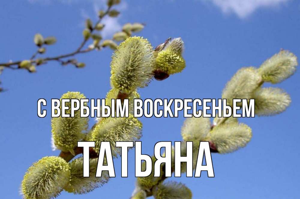 Открытка на каждый день с именем, Татьяна С вербным воскресеньем верба Прикольная открытка с пожеланием онлайн скачать бесплатно 
