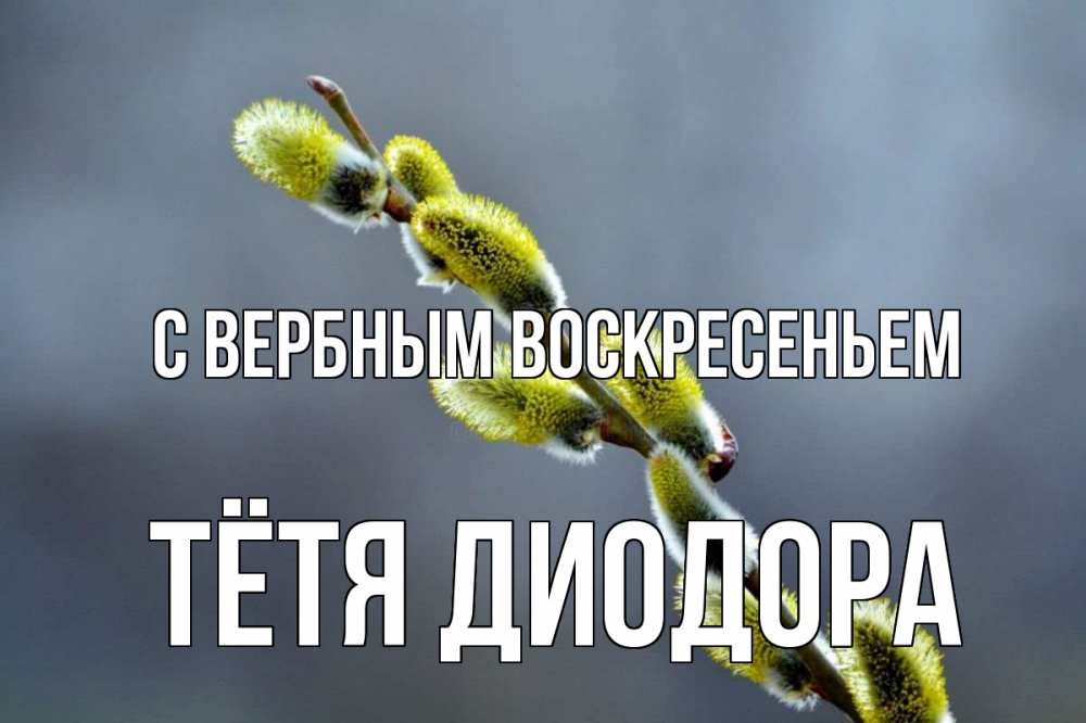Открытка на каждый день с именем, Тётя-Диодора С вербным воскресеньем верба Прикольная открытка с пожеланием онлайн скачать бесплатно 