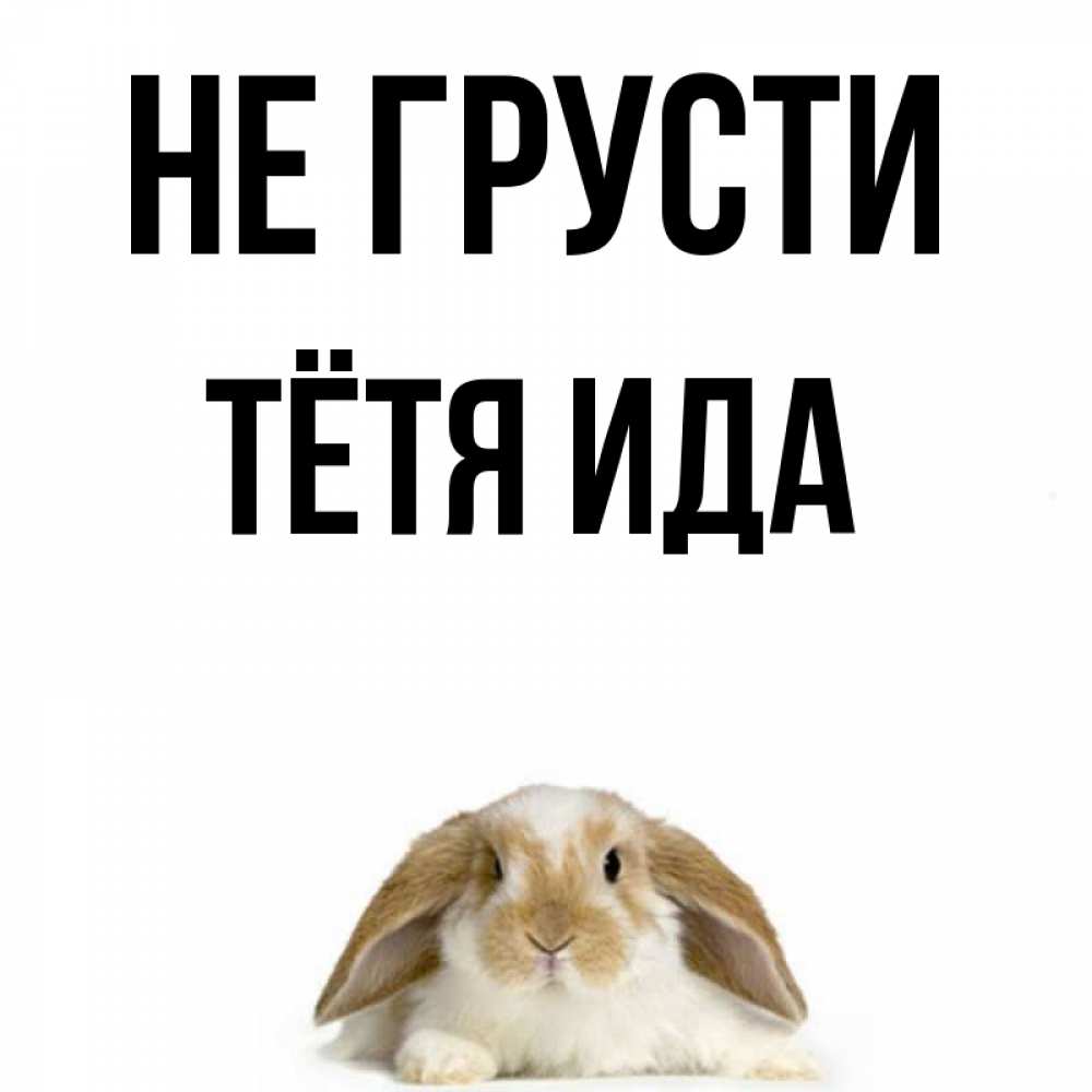 Открытка на каждый день с именем, Тётя-Ида Не грусти коричнево белый заяц с большими ушками Прикольная открытка с пожеланием онлайн скачать бесплатно 