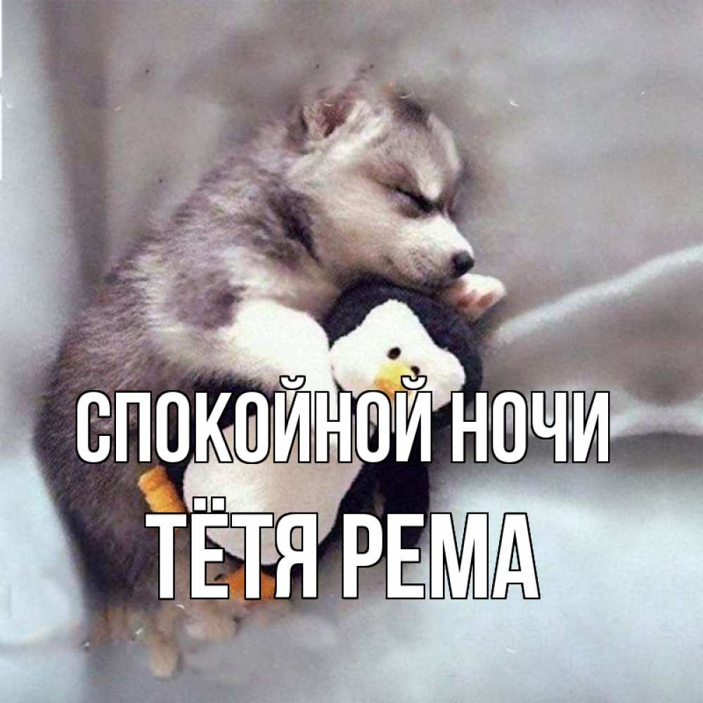 Открытка на каждый день с именем, Тётя-Рема Спокойной ночи обнимашки щенка и пингвина Прикольная открытка с пожеланием онлайн скачать бесплатно 