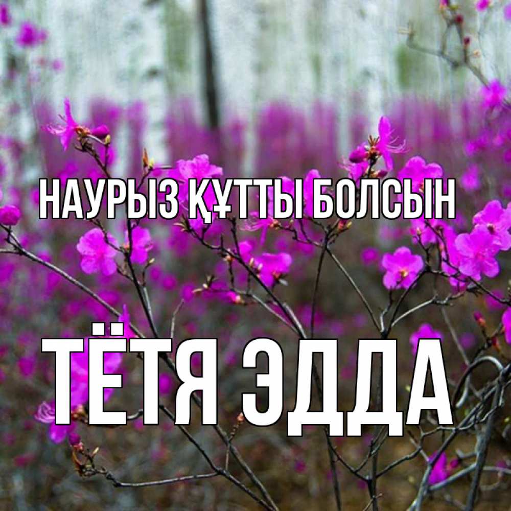 Открытка на каждый день с именем, Тётя-Эдда Наурыз құтты болсын дикие цветы Прикольная открытка с пожеланием онлайн скачать бесплатно 