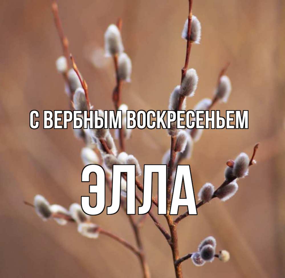 Открытка на каждый день с именем, Элла С вербным воскресеньем верба Прикольная открытка с пожеланием онлайн скачать бесплатно 