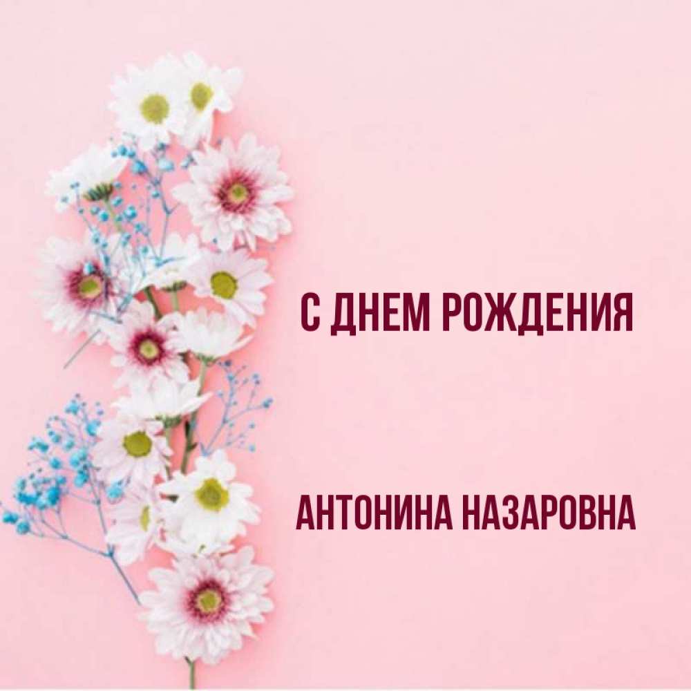 С Днем Рождения Антонина Картинки
