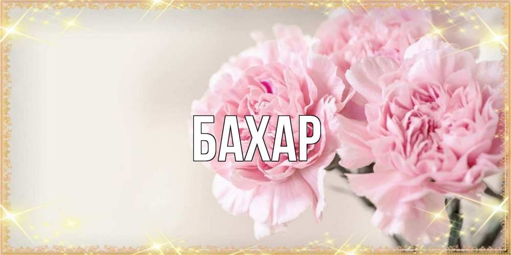 Картинка  с именем , Бахар