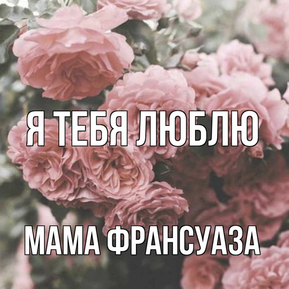 Открытка на каждый день с именем, Мама-Франсуаза Я тебя люблю розы 3 Прикольная открытка с пожеланием онлайн скачать бесплатно 