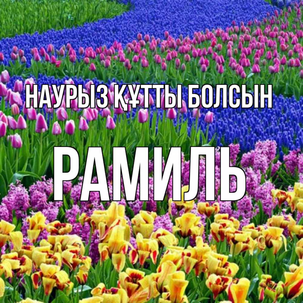 Открытка на каждый день с именем, Рамиль Наурыз құтты болсын цветы Прикольная открытка с пожеланием онлайн скачать бесплатно 