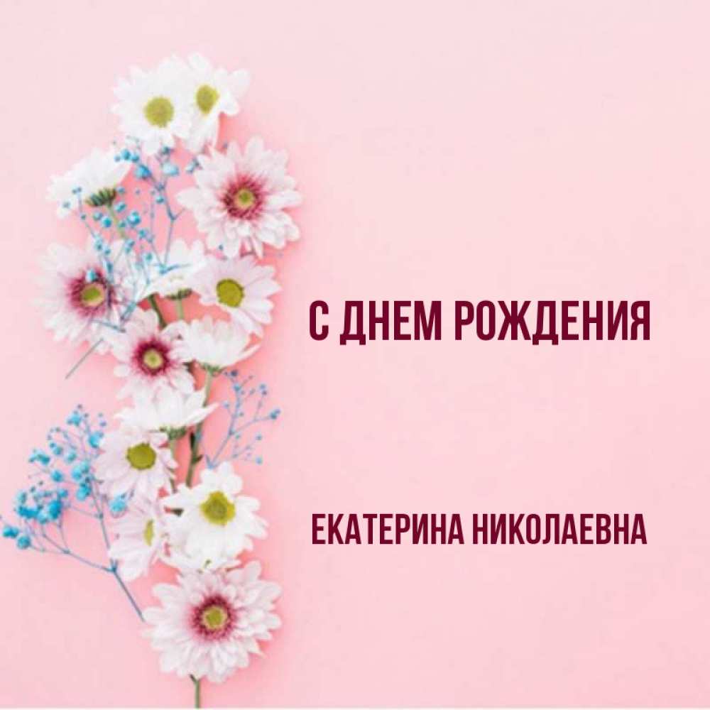 С днем рождения екатерина николаевна картинки