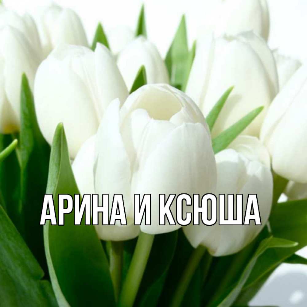 Открытка на каждый день с именем, Арина-и-Ксюша Главная открытки на каждый день по именам Прикольная открытка с пожеланием онлайн скачать бесплатно 