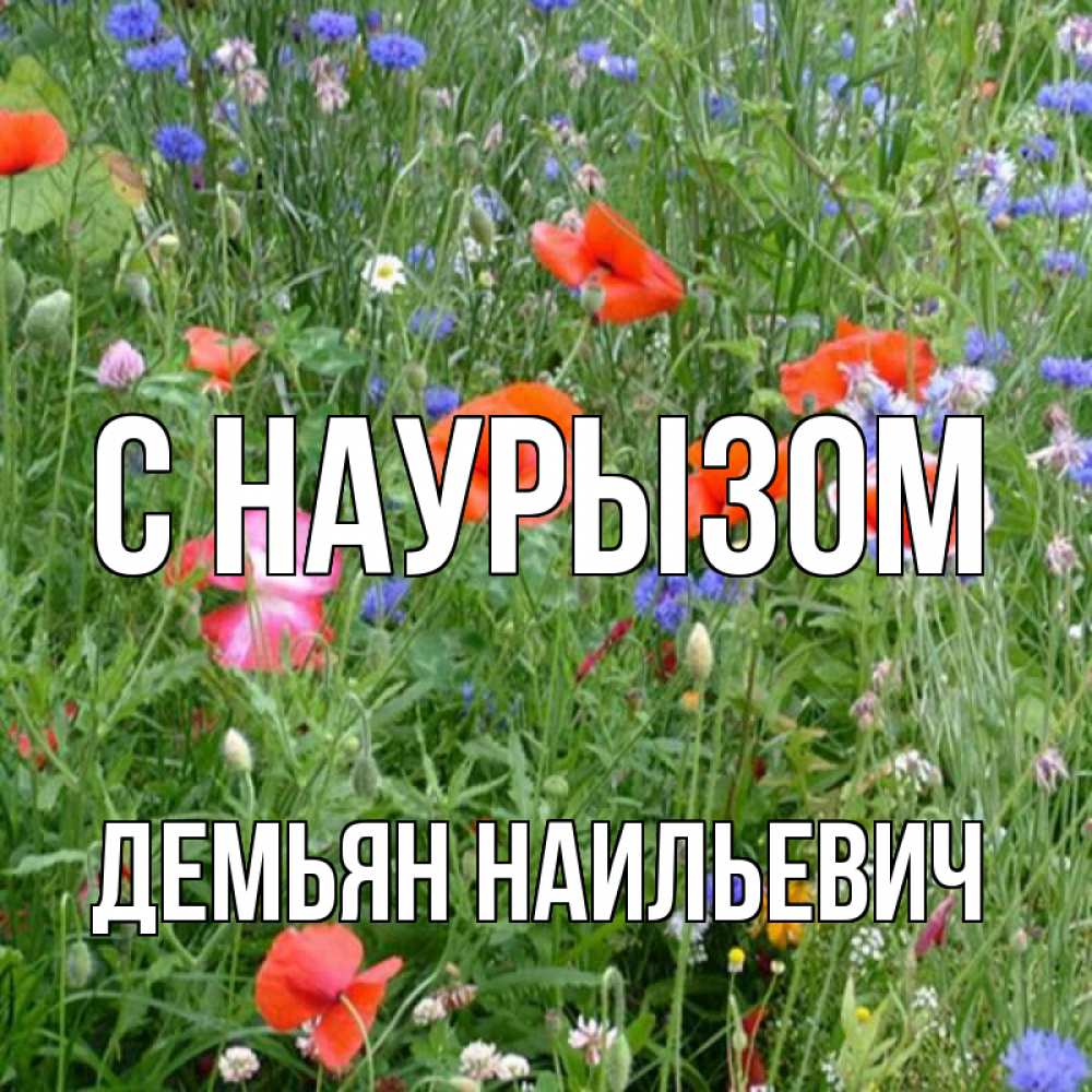 Картинка С наурызом, Демьян Наильевич
