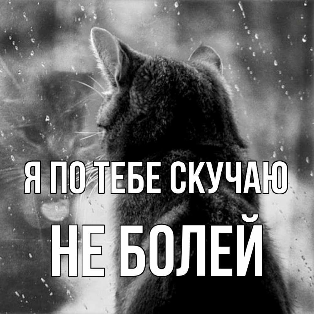 Картинки не грусти