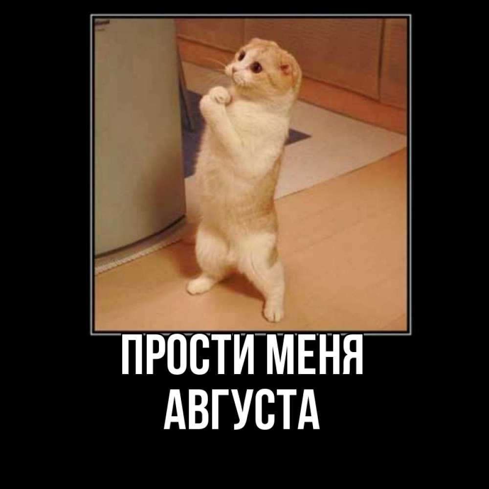 Открытка на каждый день с именем, Августа Прости меня открытка с милым несчастным котиком просящим прощения Прикольная открытка с пожеланием онлайн скачать бесплатно 
