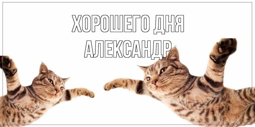 Открытка на каждый день с именем, Александр Хорошего дня хорошего дня Прикольная открытка с пожеланием онлайн скачать бесплатно 