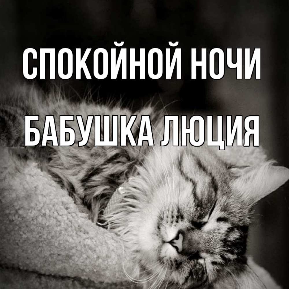 Открытка на каждый день с именем, Бабушка-Люция Спокойной ночи котярик пушистый Прикольная открытка с пожеланием онлайн скачать бесплатно 