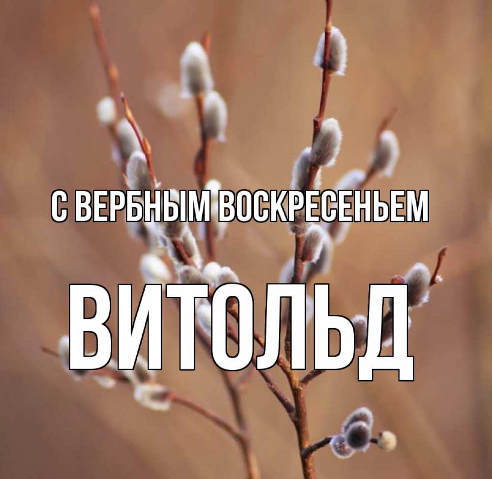 Открытка на каждый день с именем, Витольд С вербным воскресеньем верба Прикольная открытка с пожеланием онлайн скачать бесплатно 