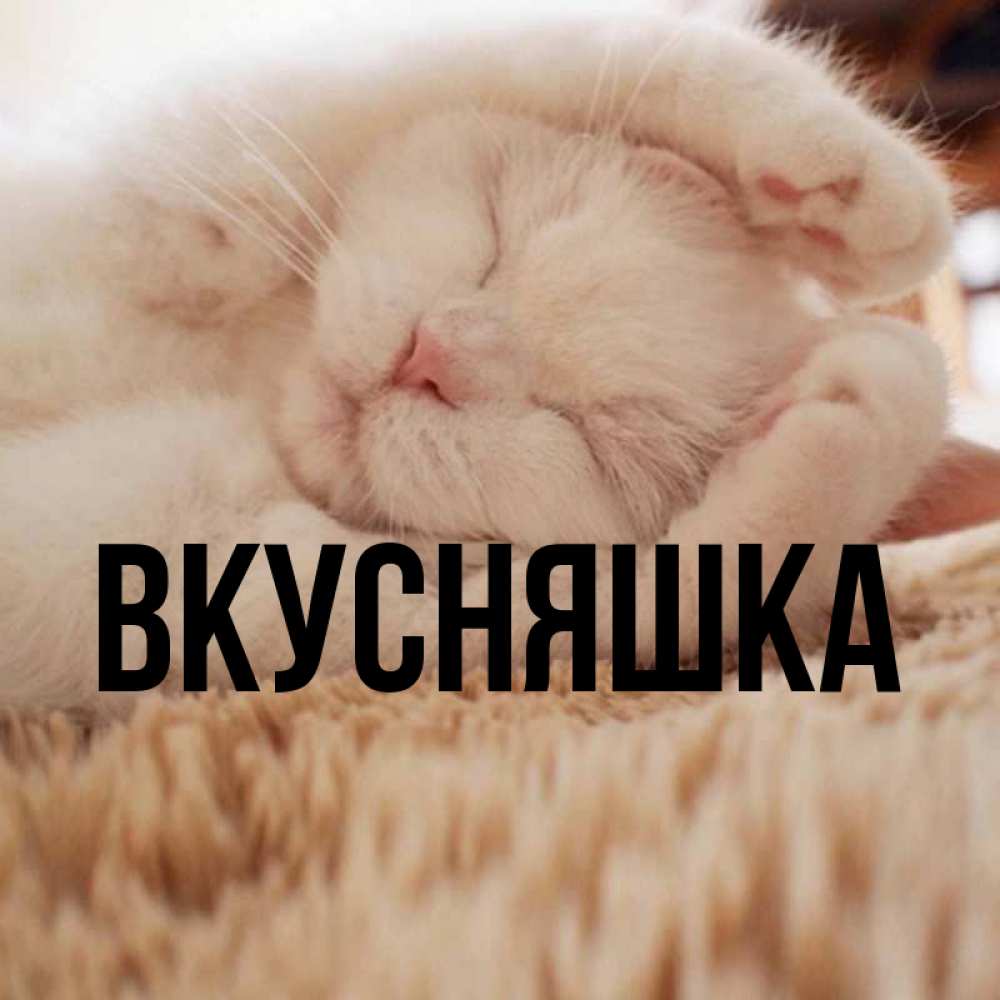 Открытка на каждый день с именем, Вкусняшка Главная Котенок спит Прикольная открытка с пожеланием онлайн скачать бесплатно 