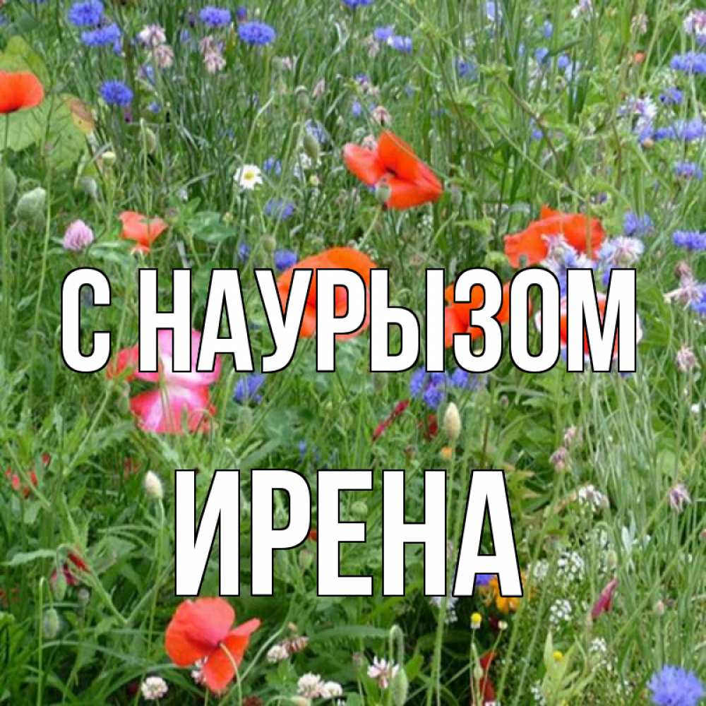 Открытка на каждый день с именем, Ирена С наурызом праздник весны наурыз супер открытка Прикольная открытка с пожеланием онлайн скачать бесплатно 