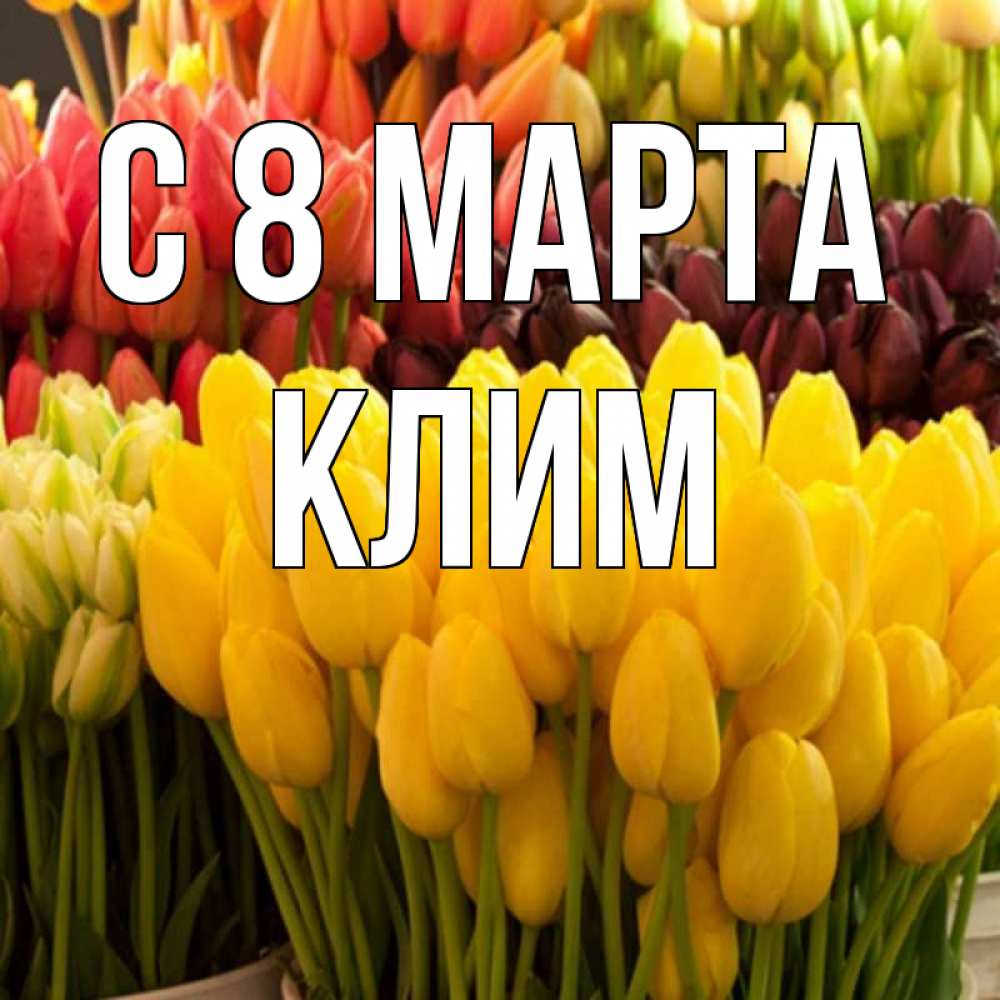 Открытка на каждый день с именем, Клим С 8 марта цветы Прикольная открытка с пожеланием онлайн скачать бесплатно 