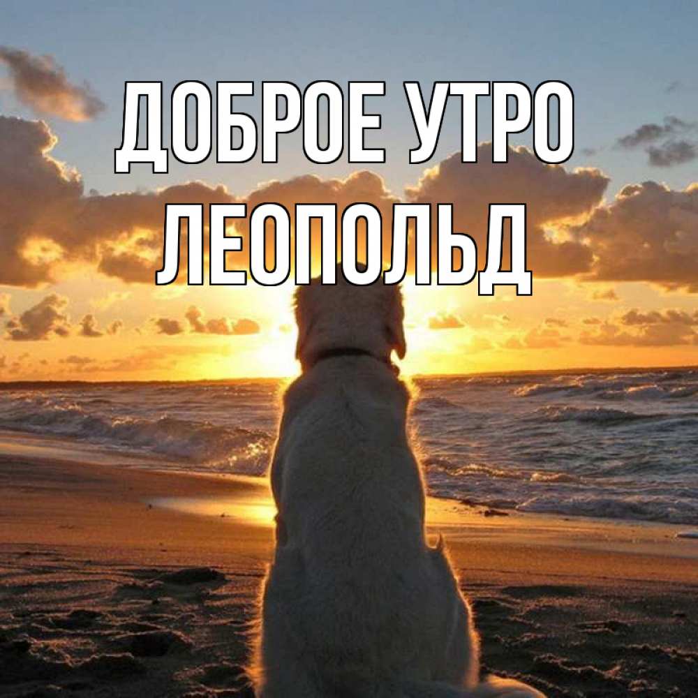 Открытка на каждый день с именем, Леопольд Доброе утро восход солнца Прикольная открытка с пожеланием онлайн скачать бесплатно 