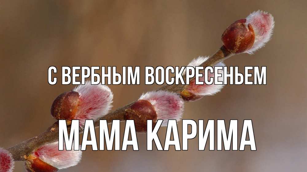 Открытка на каждый день с именем, Мама-Карима С вербным воскресеньем верба Прикольная открытка с пожеланием онлайн скачать бесплатно 